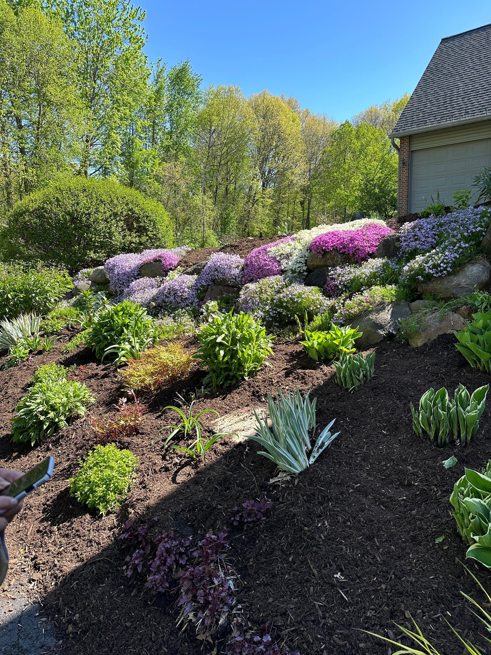 Tiered garden landscape with colorful flowering shrubs including pink, purple, and white blooms, green foliage plants, and mulch on a sunny day
