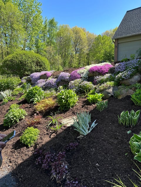 Planting services
