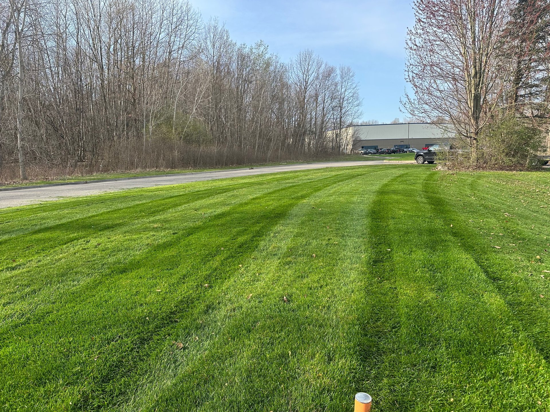 Freshly mowed lawn with parallel green stripes, bare trees in background, and farm buildings visible on the right
